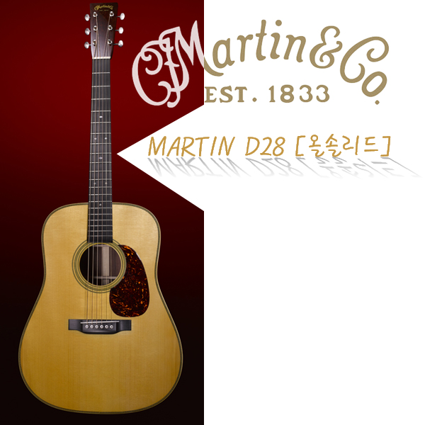 MARTIN D28 [üָ].jpg
